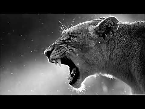 أجمل موسيقى مسيرة في العالم