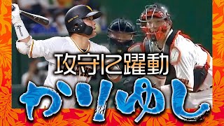 【かりゆし】大城卓三 扇の要が攻守に躍動