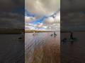 Draft Shallow, Paddle Easy LIVEWatersports.com