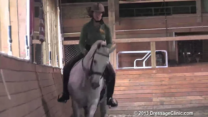 DressageClinic.c...  Presents Three Time Olympian ...