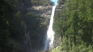 熊野那智大社【公式】の配信のサムネイル画像