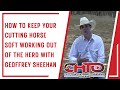 How To Keep Your Cutting Horse Soft Working Out Of The Herd With Geoffrey Sheehan