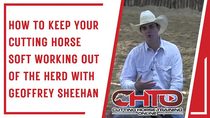 How To Keep Your Cutting Horse Soft Working Out Of...