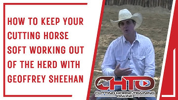 How To Keep Your Cutting Horse Soft Working Out Of The Herd With Geoffrey Sheehan
