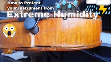 How to protect your violin from extreme humidity