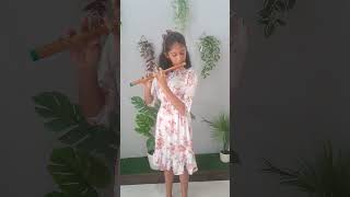 Pirates Of The Caribbean Flute Cover