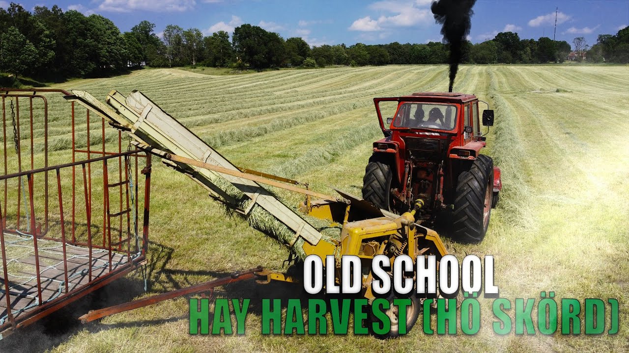 OLD SCHOOL HAY HARVEST | ONLY Volvo BM | In Småland, Sweden