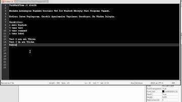 WinSock İle Chat Programı Yapmak