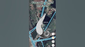 Giant Crocodile 🐊 Discovery On Google Earth and Google Earth 🌎 | 3D Google Earth #3dearth