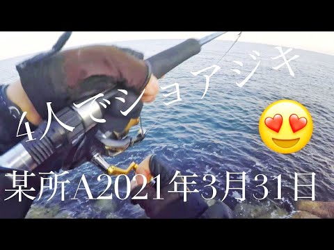 「ショアジギング」おもろ