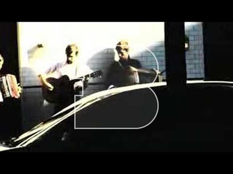 Bowerbirds - The