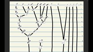 Lab 2 - Phylogenetics Exercise #3 Video - Sarah Kirk