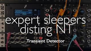 disting NT - Transient Detector