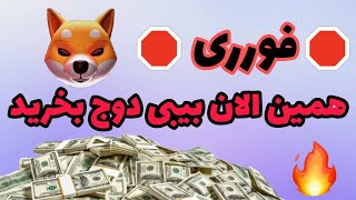 بیبی دوج هم مثل شیبا اماده پامپه؟/بیبی دوج آماده رشد ۵۰ درصدی