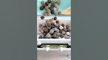 Setup thùng lọc phiên bản nâng cấp khiến hiệu quả lọc nước vượt xa mọi mong đợi của mình #notashopvn