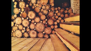 151 Amazing ideas from wood cuts in the interior\ 151 Удивительных идей из спилов дерева в интерьере