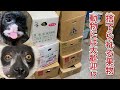 毎日捨てられる野菜と果物・・・。でも、当園の動物達にとっては大喜びで食べられる果物です♫