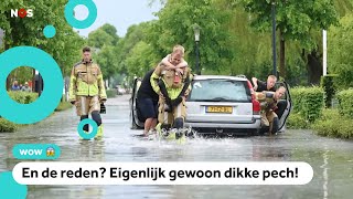 Dit was waarschijnlijk de natste mei ooit gemeten 🌧️