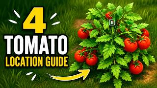 Solarpunk 4 Tomato Location Guide