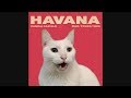 HAVANA - Camila Cabello by CATS | Despacito | Shape of you | + More BEST Hits - Cat Parody