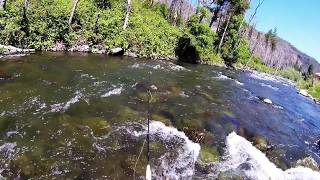Father's day 2026 on the Feather River