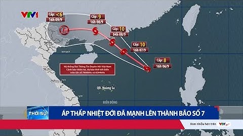Áp thấp nhiệt đới đã mạnh lên thành bão số 7 | VTV24
