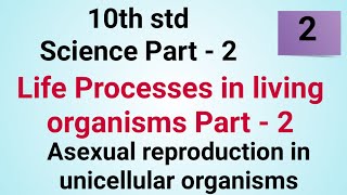 10th std Science Life Processes in living organisms Part 2 | Asexual reproduction in unicellular org