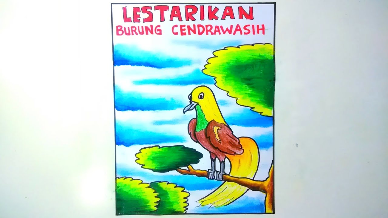 Poster Pelestarian Hewan Langka Melestarikan Burung Cendrawasih YouTube