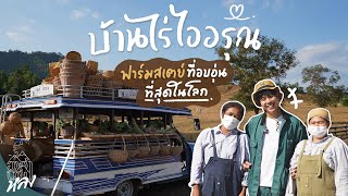 "บ้านไร่ไออรุณ ระนอง" ฟาร์มสเตย์ที่อบอุ่นที่สุดในโลก | อาสาพาไปหลง