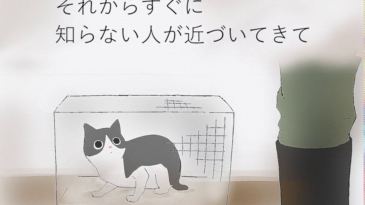 埼玉県深谷市猫虐待事件 さいたまけんふかやしねこぎゃくたいじけん とは ピクシブ百科事典