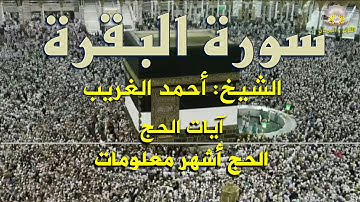 الحج أشهر معلومات: آيات الحج من سورة البقرة بصوت الكروان الشيخ أحمد الغريب.