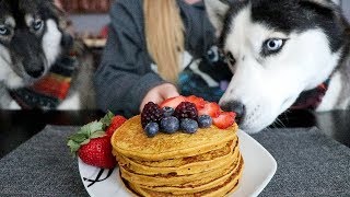 DIY Berry Pumpkin Pancakes For Dogs!