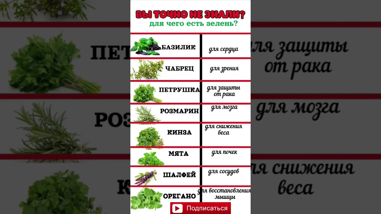 ⁣А ВЫ ЗНАЛИ?#зелень #здоровье #полезно #полезныесоветы #еда #продукты #питание #здоровыйобраз #польза