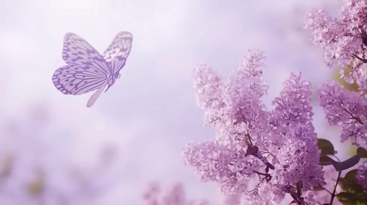 7 Hours of Relaxing Sleep Music: Soft Piano Music, Sleeping Music, Sweet Dreams ★122