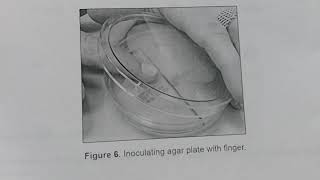 BI 234 HOL  Hand Washing and Normal Flora Pt 1
