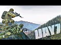 ДИКИЕ ЛЕСНЫЕ ЗАМЕСЫ - DayZ