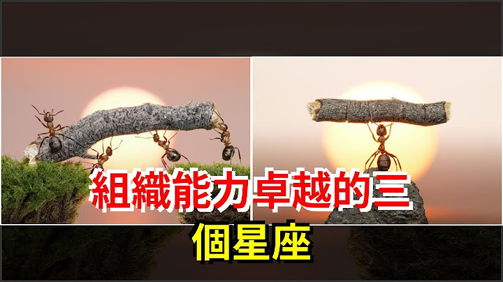 组织能力卓越的三个星座，[星座运势大全] - 天天要闻