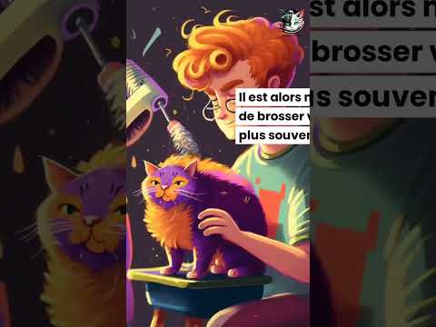 YouTube player