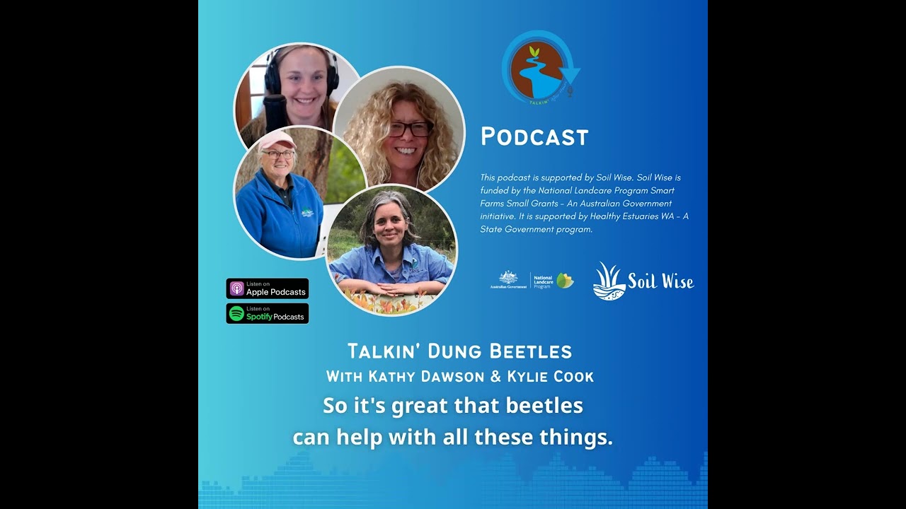 Podcast Snippet - Talkin' Dung Beetles with Kathy Dawson & Kylie Cook