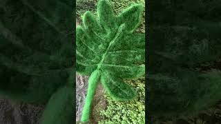 Needle felted monstera leaf #needlefelting #fiberart #woolfelt #woolencraft #needlefelt