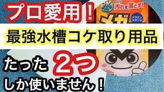 【水槽のコケ取り用品は2個でOK!! 】プロのコケ取り愛用品と使うと危険な水槽用品を解説!