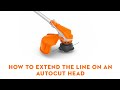 How to Extend The Line on A STIHL AutoCut Mowing Head | STIHL How-to | STIHL GB