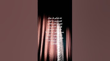 #تلاوة_هادئة #تلاوة_خاشعة #اسلام_صبحي #خواتيم_سورة_المؤمنون #سورة_المؤمنون #قرآن_كريم #اكسبلور #ترند