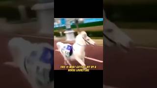 Biker Gets Hit By A Horse 🐴😱 #Viral #Funny #Animals #Ytshorts