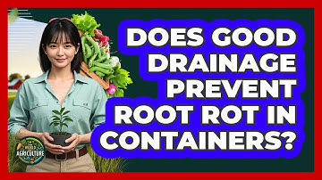 Does Good Drainage Prevent Root Rot In Containers?