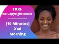 Xad - Morning - TARF [No Copyright Music 10 Minutes] musica sin copyright