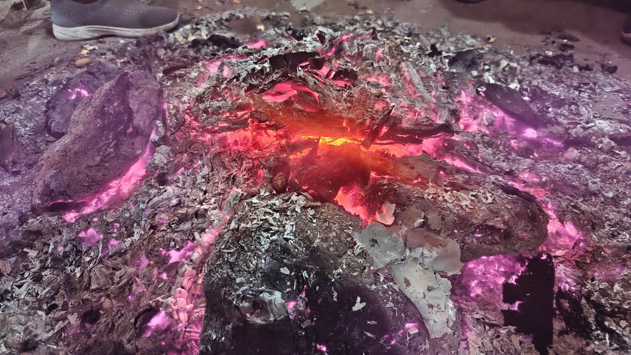 Lohri Vlog 2026 🔥 Punjabi Dance, Bonfire, Food & Full Masti