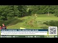 WATCH LIVE ACE RUNS ON HOLE 5 AT PICKARD PARK! DISCMANIA CHALLENGE LIVESTREAM