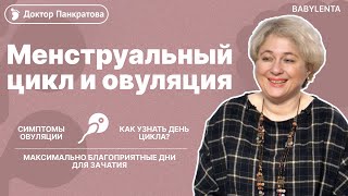 Благоприятные дни для зачатия ребенка после месячных. Как определить овуляцию. День цикла месячных