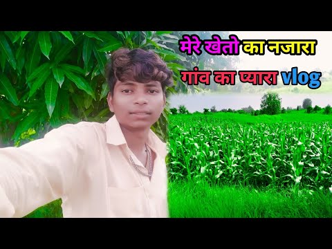 खेतो का नजारा 🥰 Gaon ka vlog